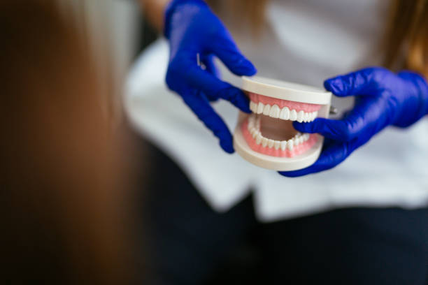 Best Dental Fillings (Composite and Amalgam)  in Satellite Beach, FL